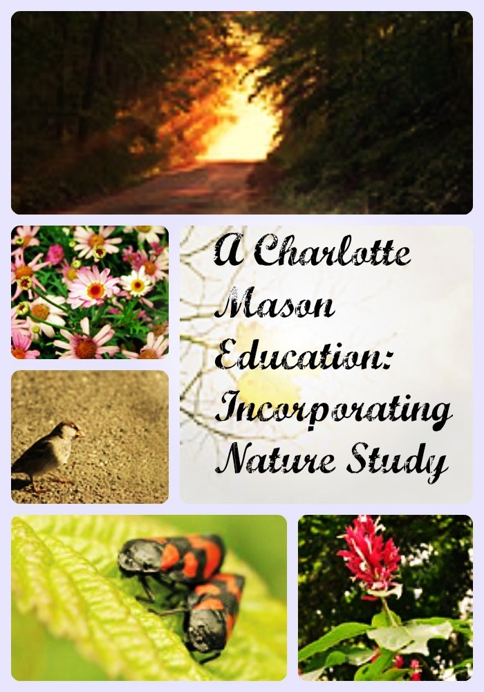 A Charlotte Mason Education Incorporating Nature Study