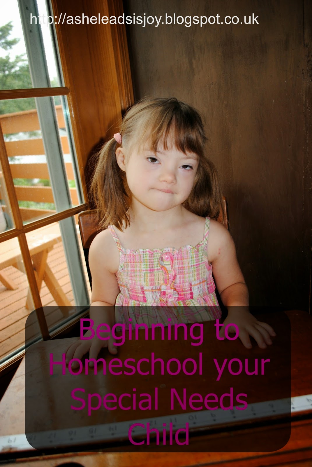 Begining to Homeschool Your Special needs Student