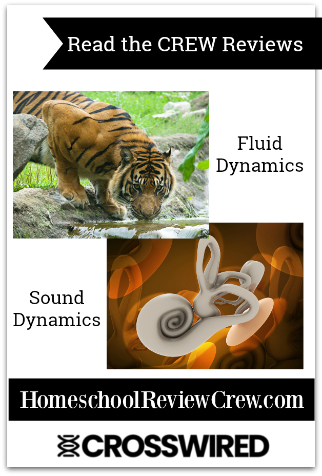 Sound, and Fluid Dynamics {CrossWired Science Reviews}