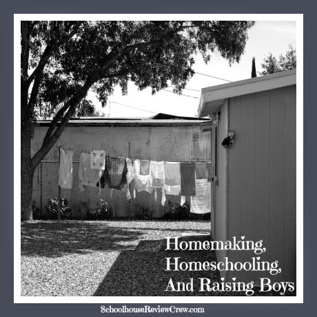 Homemaking, Homeschooling, and Raising Boys