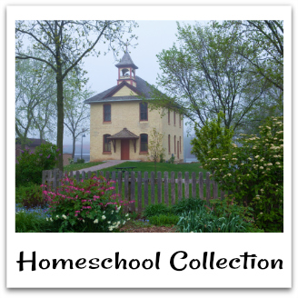 Homeschool Collection {Monthly Round UP}