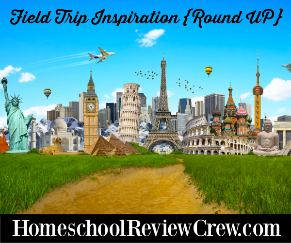 Field Trip Inspiration {Round UP}