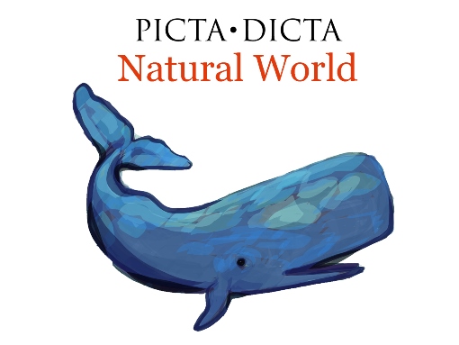 PictaDicta Natural World