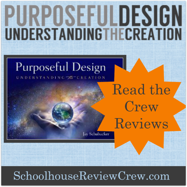 Purposeful Design Understanding the Creation Reviews