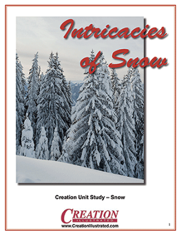 Creation Illustrated Unit Study Snow 