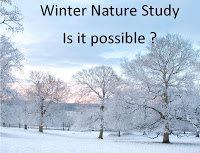 Winter Nature Study