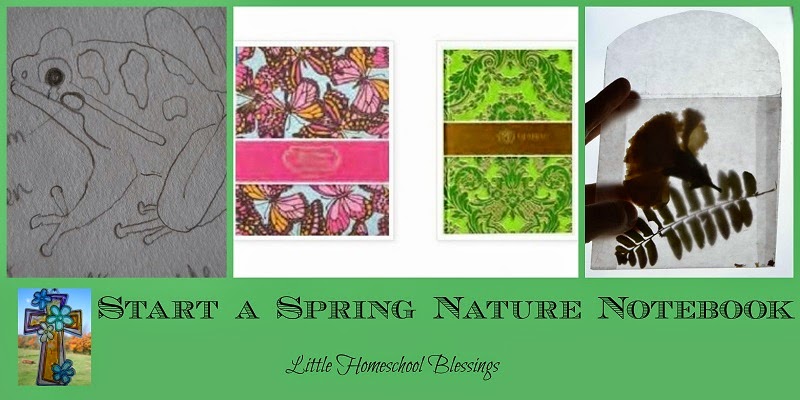 start a spring nature notebooks little homeschool blessings