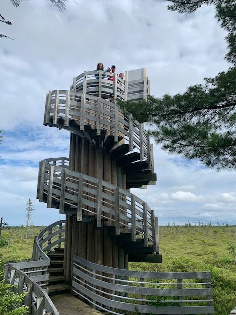 Counting the steps at Kouchibouguac National Park