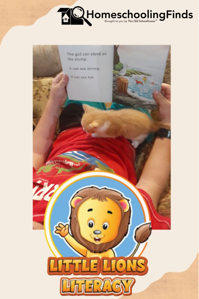 Little Lions Litearcy