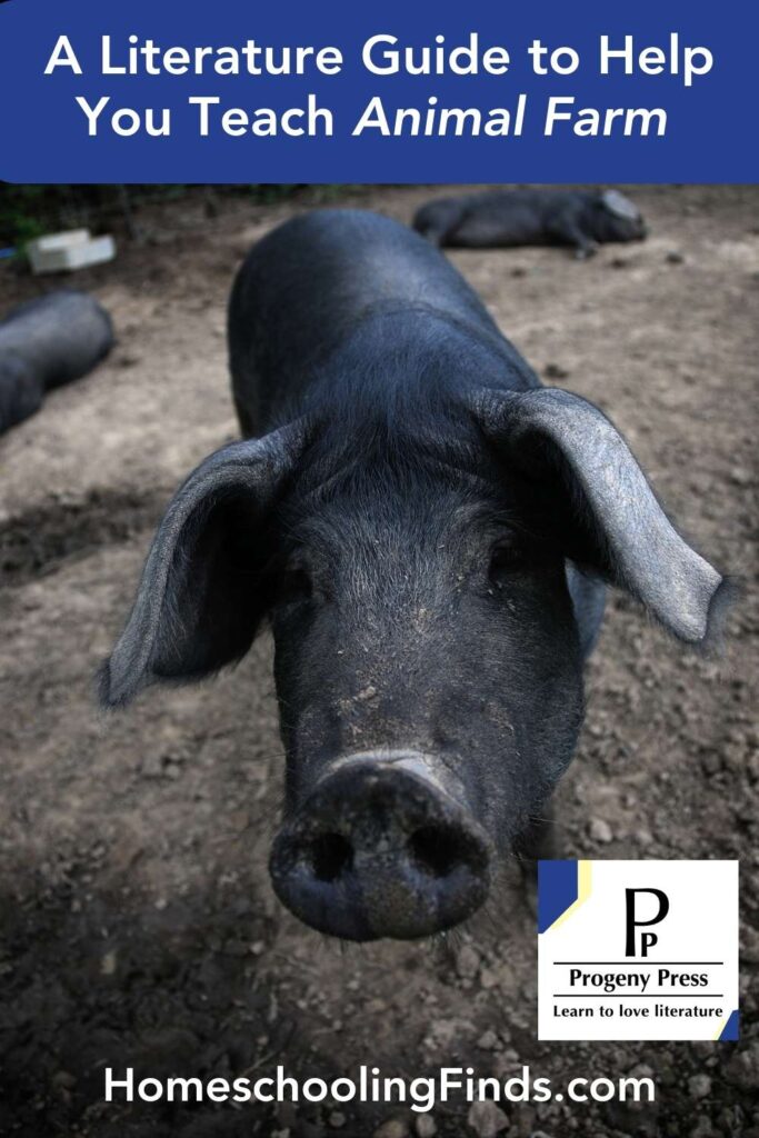 A Literature Guide to Help You Teach Animal Farm