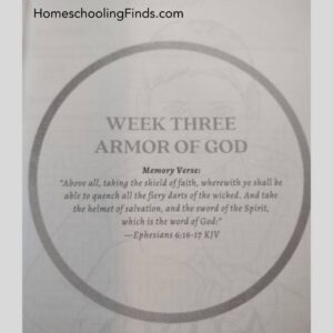 page from Towers of Light Curriculum