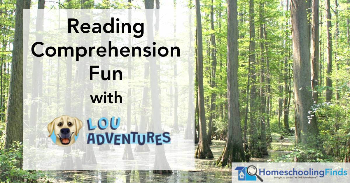 Reading Comprehension Fun with Lou Adventures