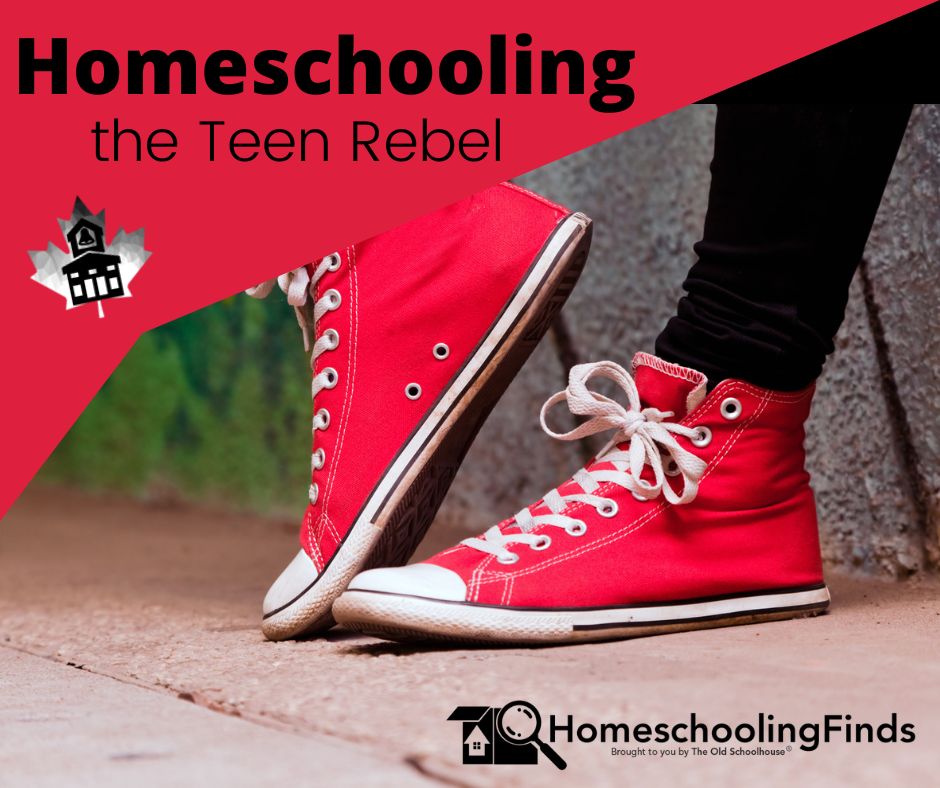 Homeschooling the Teen Rebel background photograph of red high top sneakers