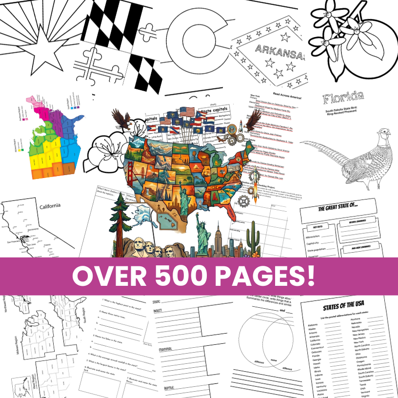 Over 500 pages of worksheets