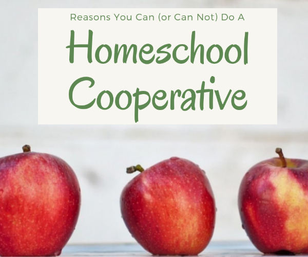 CAN the homeschool cooperative model work for your situation?