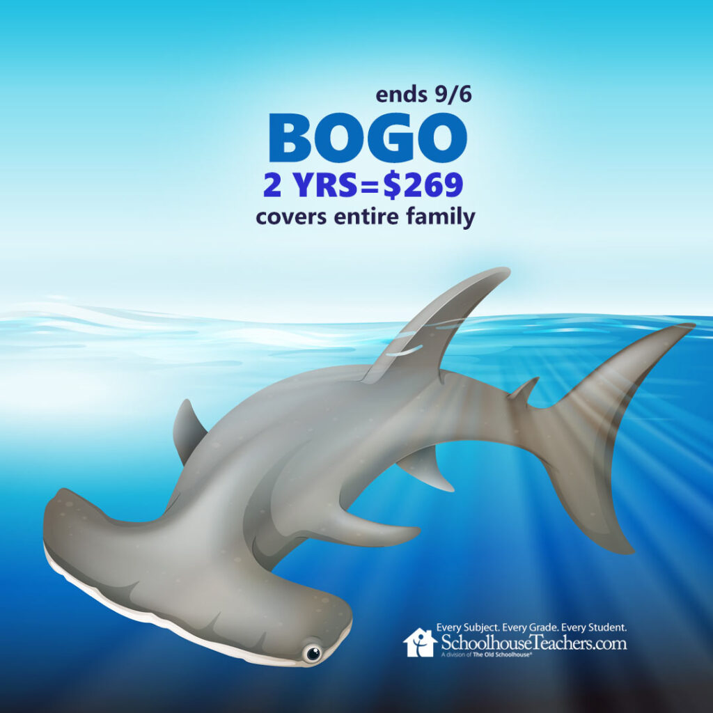 ends 9/6 BOGO 2 yrs=$269 covers entire family back to school 