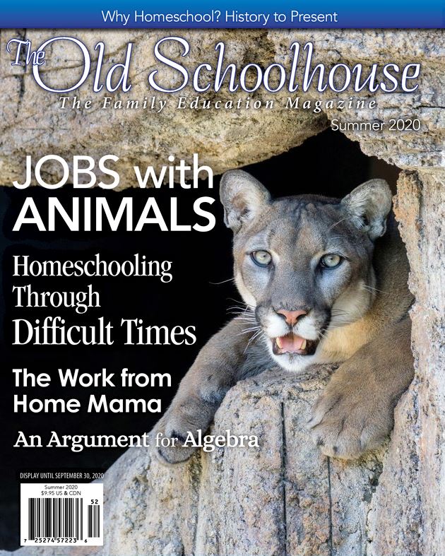 The Old Schoolhouse Summer 2020 Magazine cover 