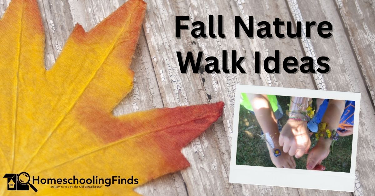 Fall Nature Walk Ideas