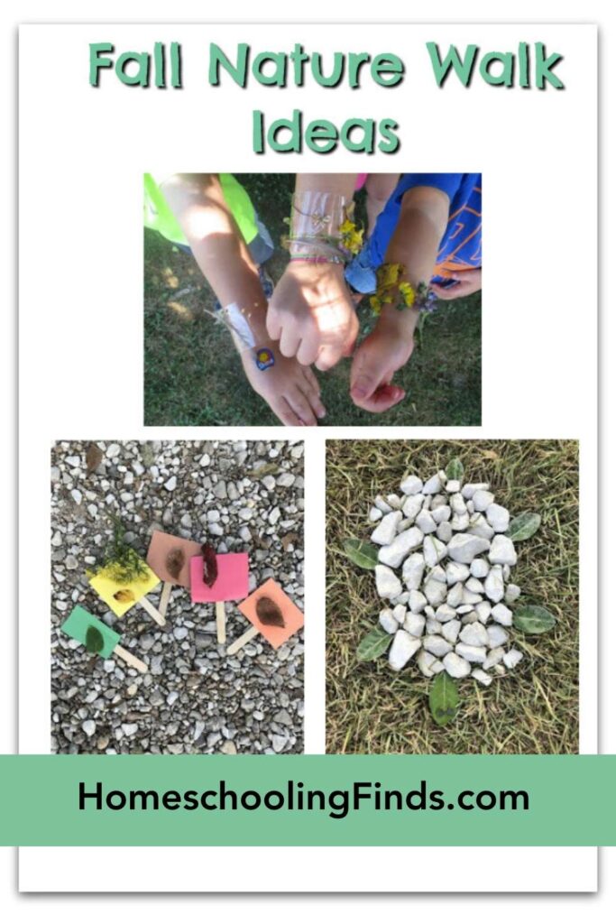 Fall Nature Walk Ideas