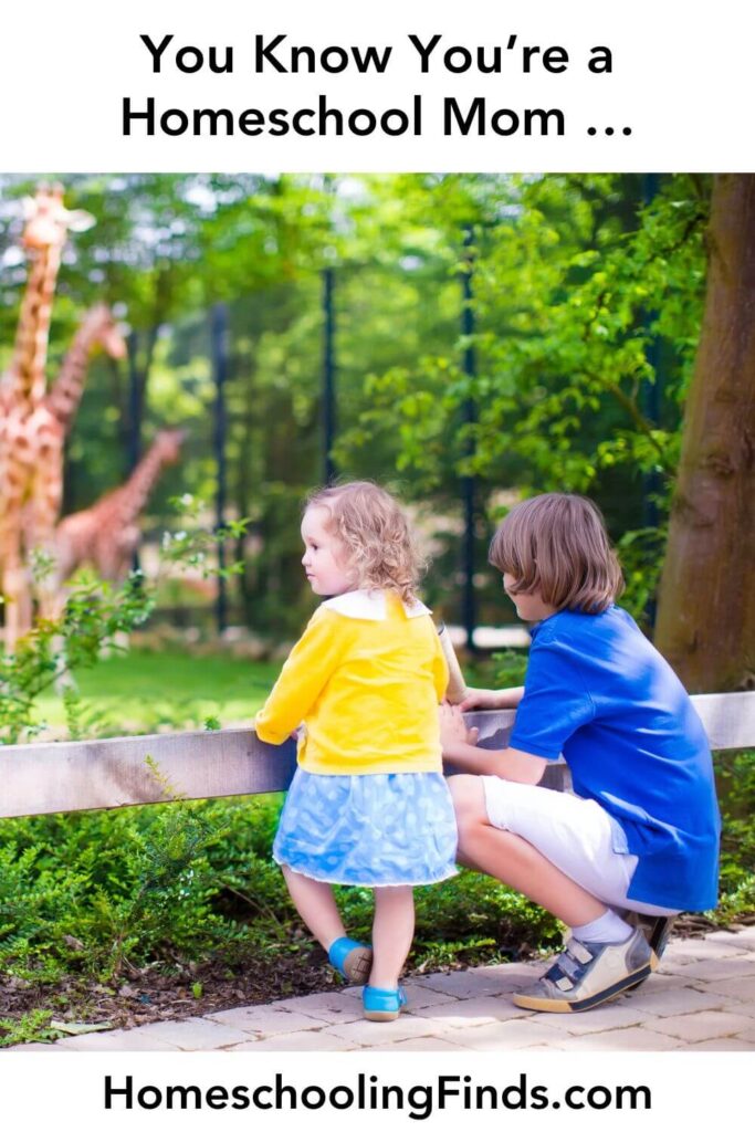 You know you're a homeschool mom...