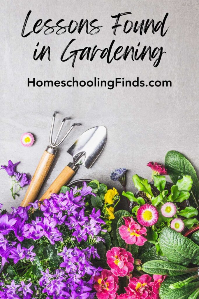 Lessons Found in Gardening