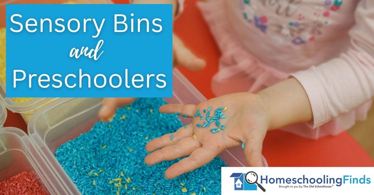 Sensory Bins and Preschoolers