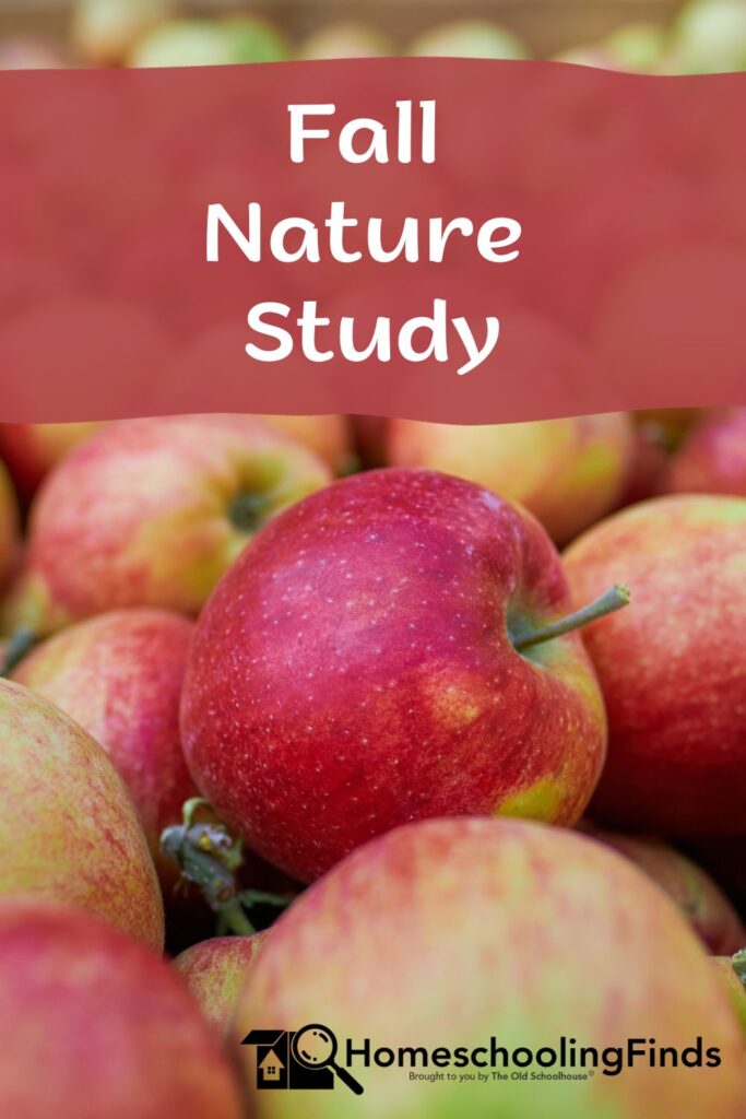 Fall Nature Study background photo of apples with HomeschoolingFinds.com logo