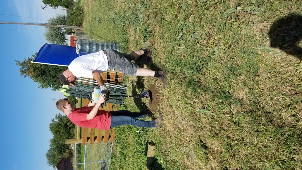 Combining the homesteading lifestyle with homeschooling is one way that parents can teach valuable life lessons.