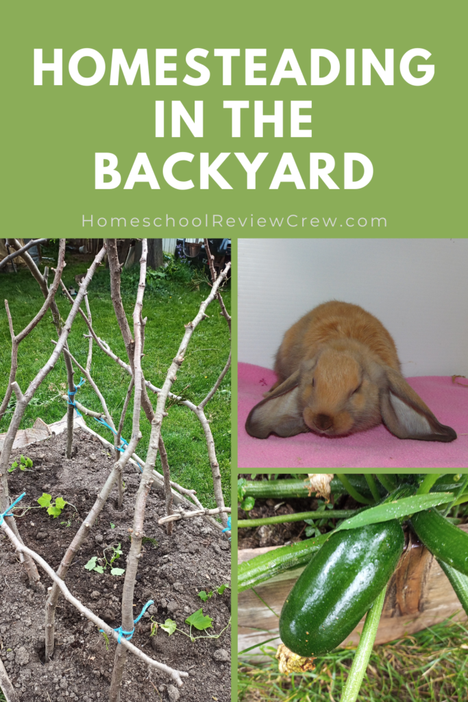 Homesteading in the Backyard