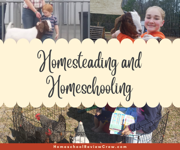 Homesteading and Homeschooling