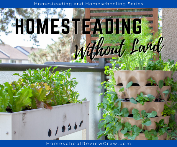 Homesteading Without Land