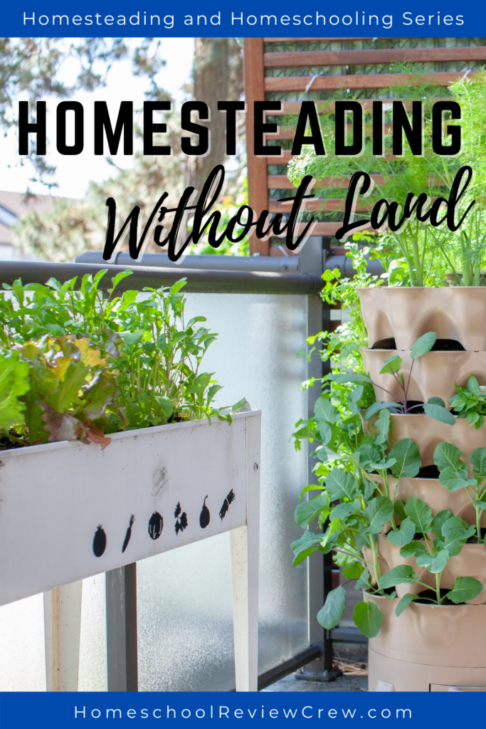 Homesteading Without Land