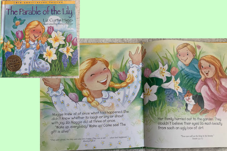 The Parable of the Lily