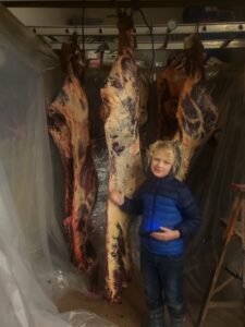with cow