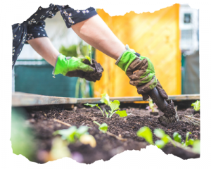 Lessons Found in Gardening @ HomeschoolReviewCrew.com