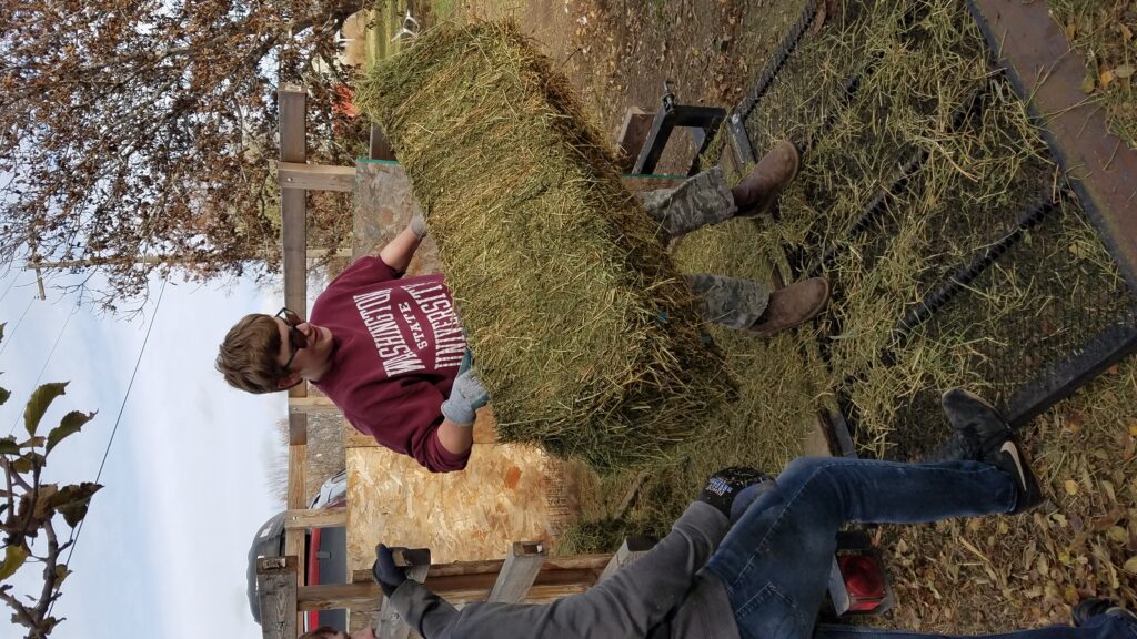 Combining the homesteading lifestyle with homeschooling is one way that parents can teach valuable life lessons.