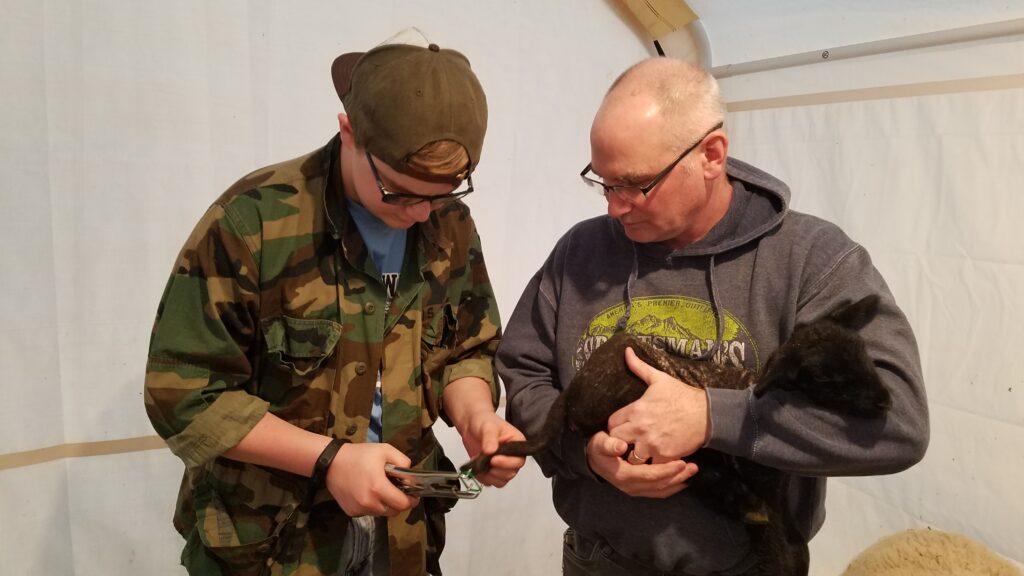 Combining the homesteading lifestyle with homeschooling is one way that parents can teach valuable life lessons.