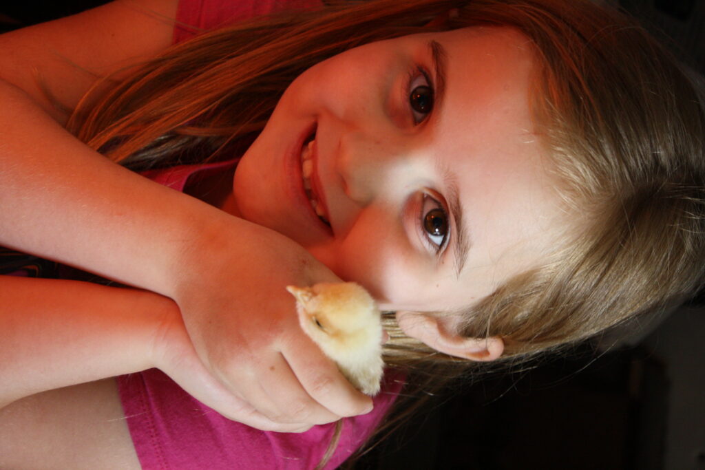 Combining the homesteading lifestyle with homeschooling is one way that parents can teach valuable life lessons.